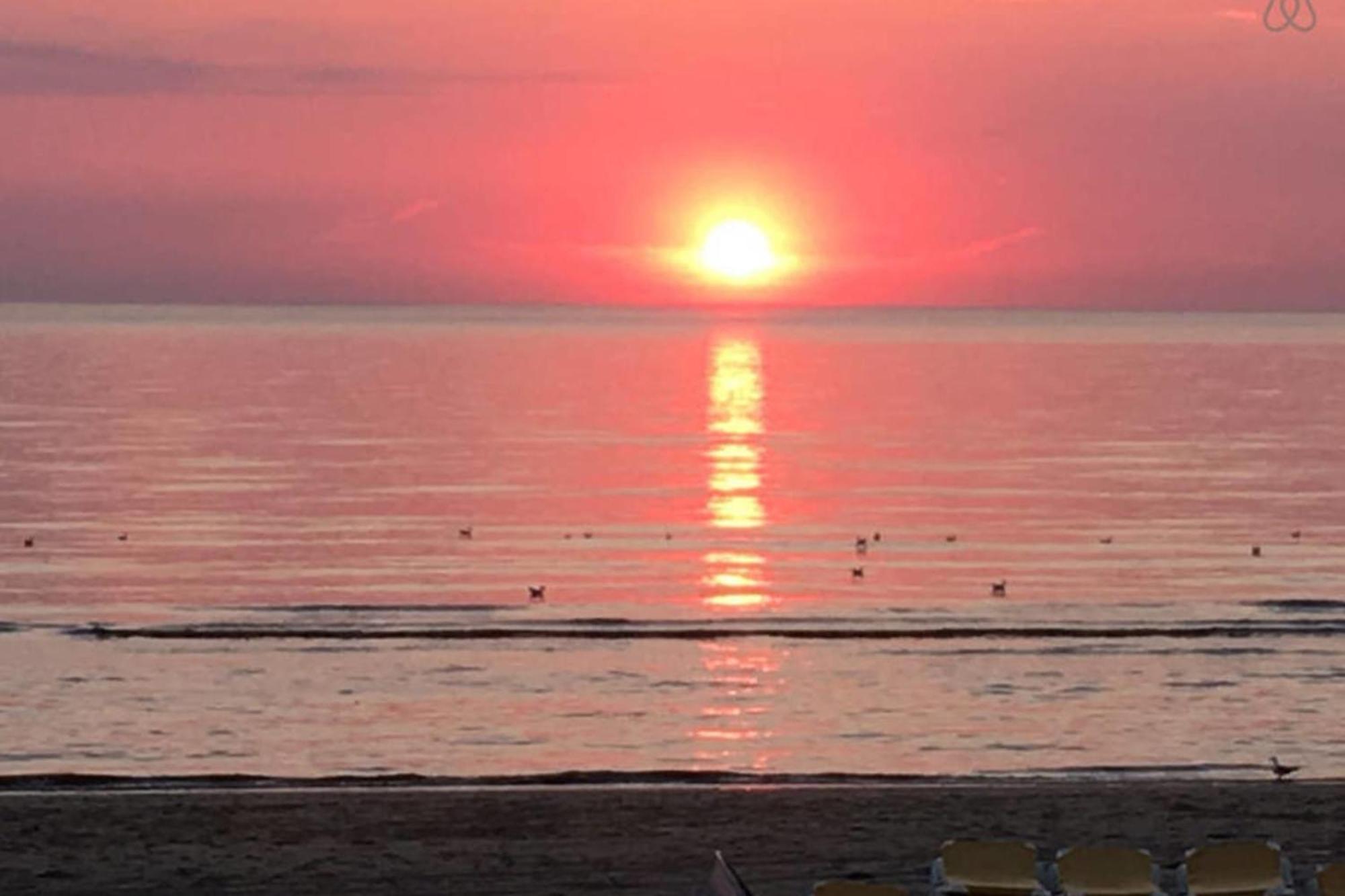 View With A Room Zandvoort With Private Parking Luaran gambar